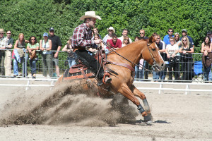 equitation-western